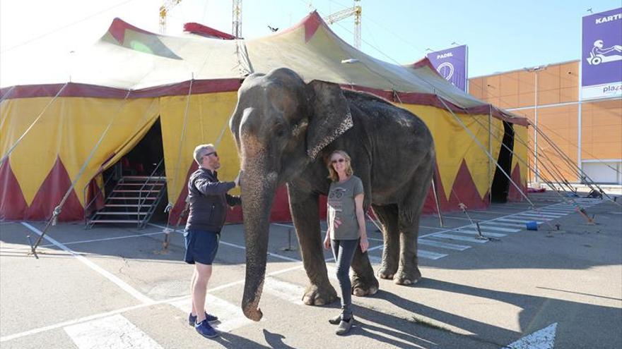 Llegan los primeros animales al circo entre protestas y quejas