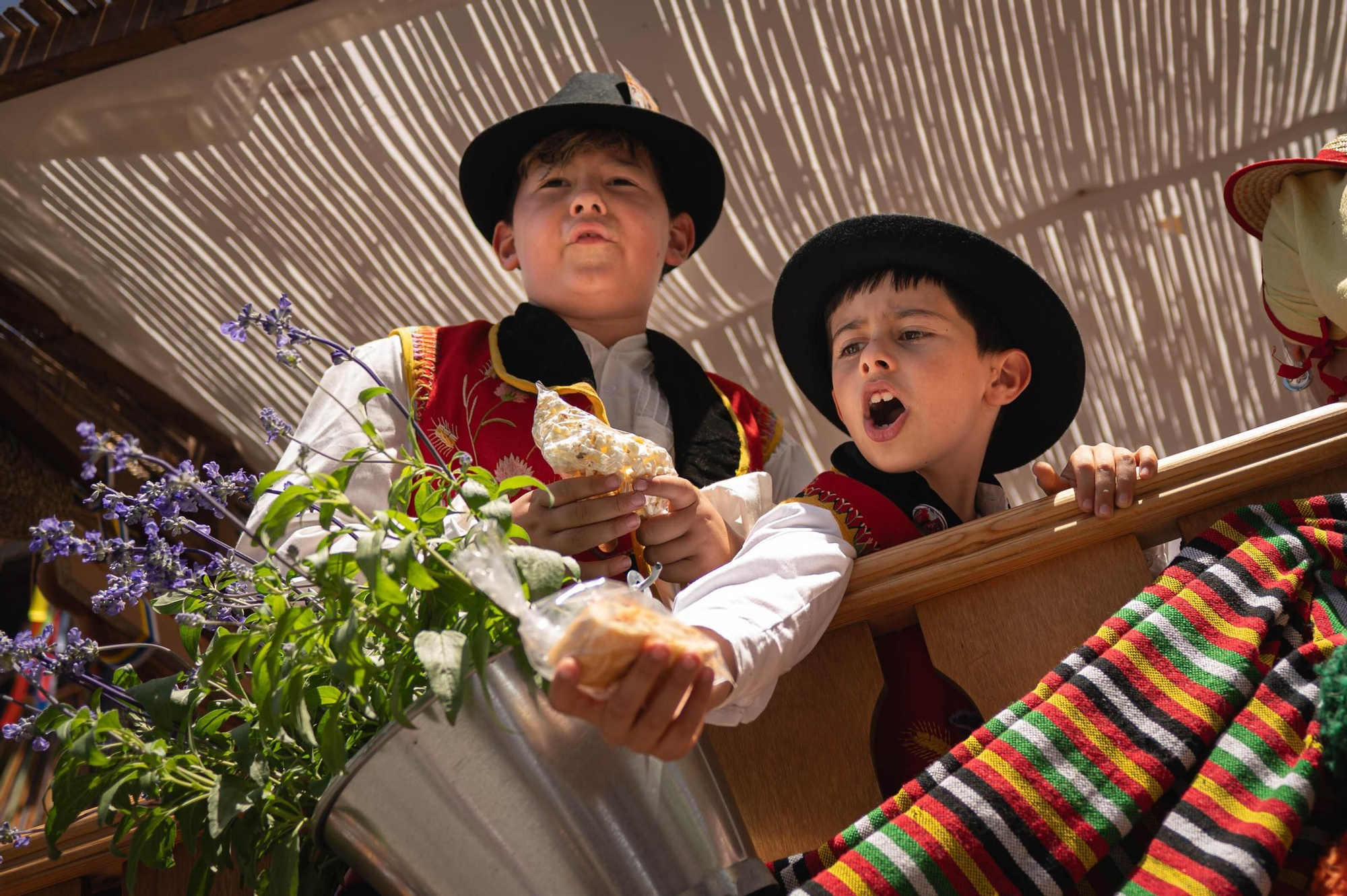 Romería de La Orotava