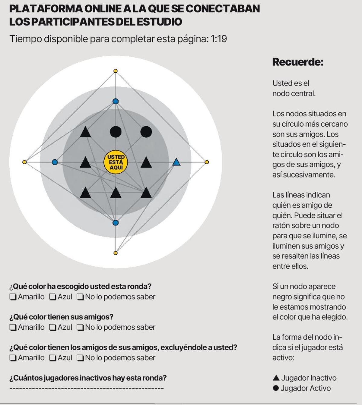 Plataforma online a la que se conectaban los participantes del estudio