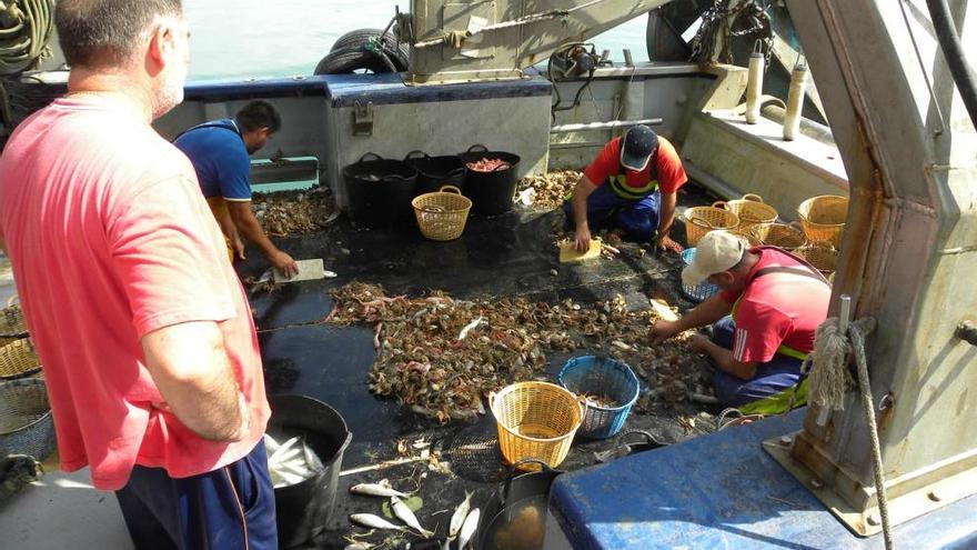 Los pescadores del puerto de Caleta de Vélez, el que más toneladas genera en el Mediterráneo andaluz, se quejan de las &quot;numerosas dificultades&quot; que padecen.