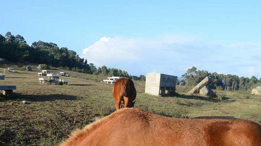 La recuperación de pastos en Udra es una de las líneas de acción del proyecto de parque forestal. // G.N.