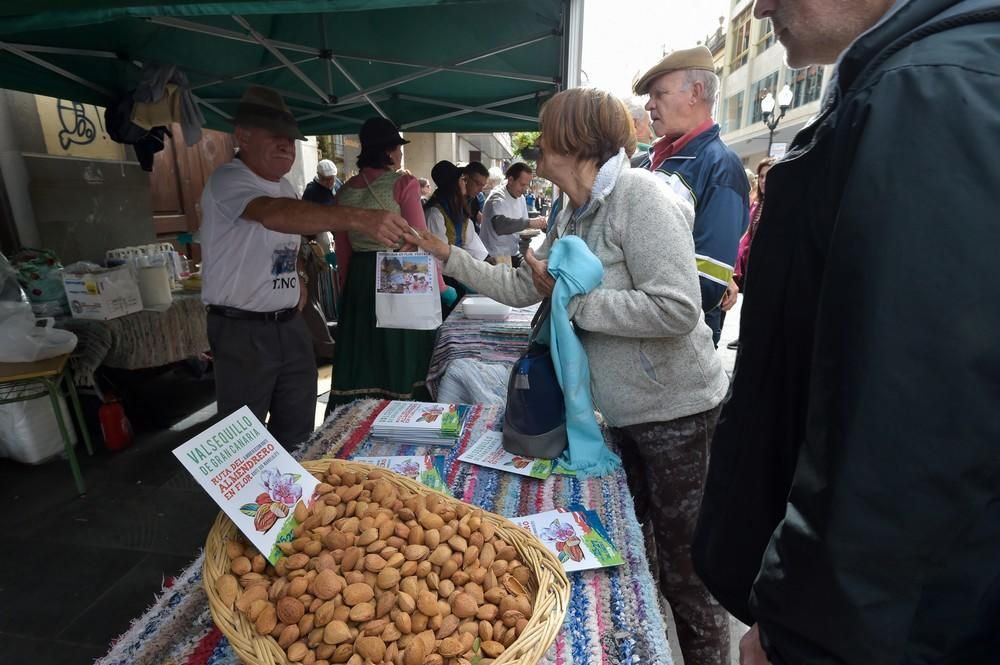 Escenificación de la Ruta del Almendrero en Flor en la calle Triana