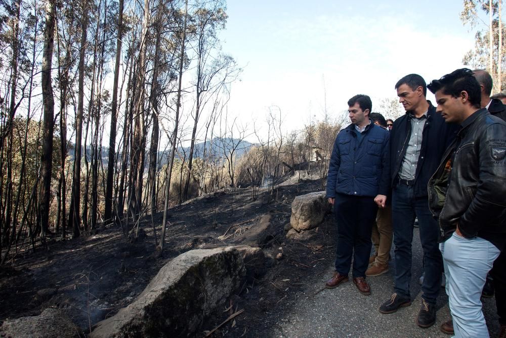 El terrorismo incendiario arrasa el Sur de Galicia