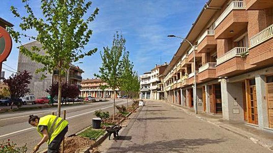 Treballant en la plantació de l&#039;arbrat a la Valldan