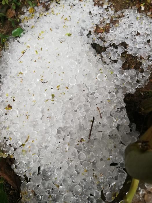 Piedra recogida en Catarroja.