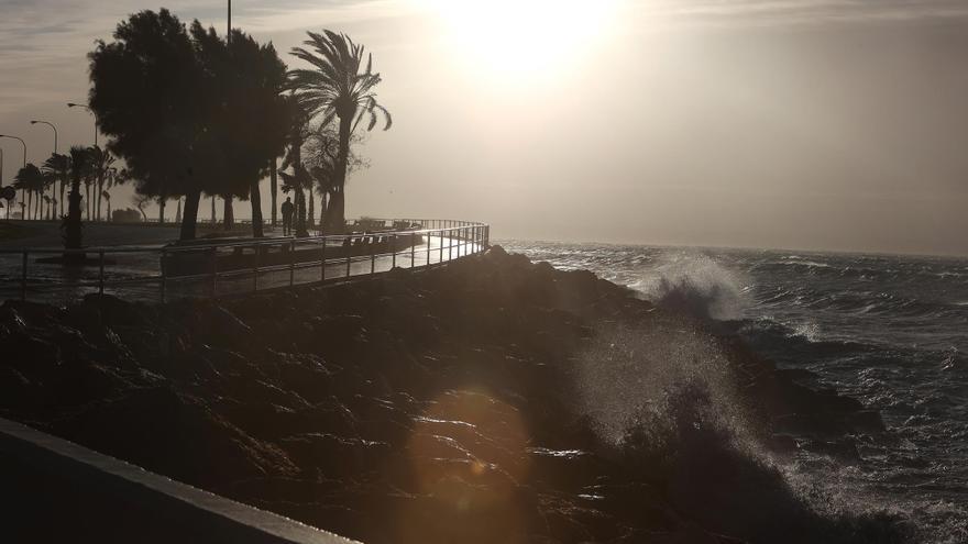 El Ayuntamiento de Palma cierra varios parques y el paseo Sagrera desde este martes por la borrasca 'Joseph'