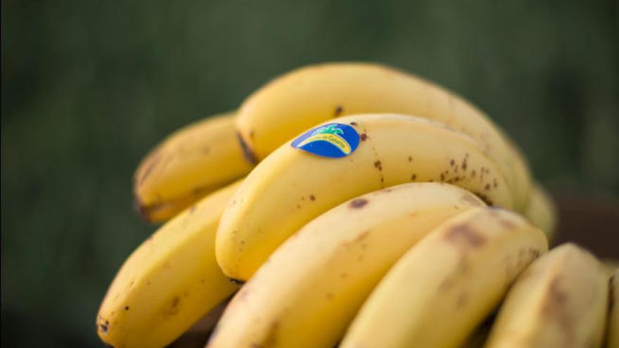 Manilla de plátanos con el sello identificativo de la marca Plátano de Canarias