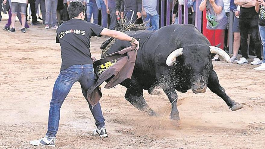 La segunda jornada del ‘bou per la vila’ culmina con un juego desigual