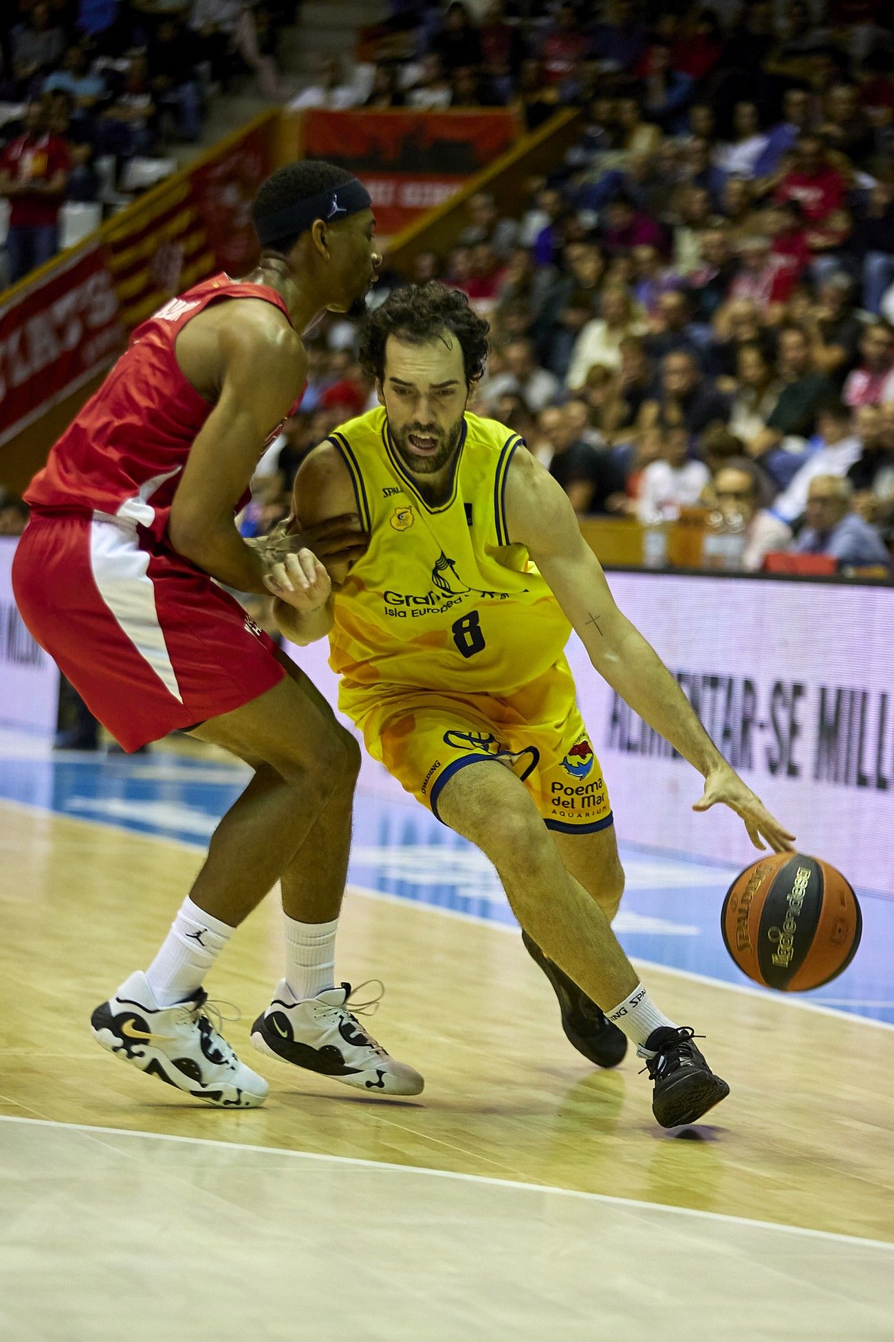 Liga Endesa: Bàsquet Girona - CB Gran Canaria