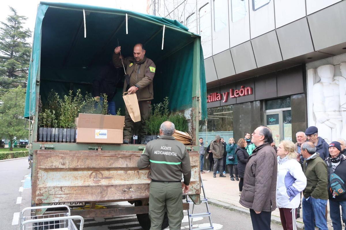 Delegación de la Junta Reparto de árboles por el Día del Arbol