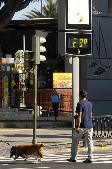 METEOROLOGIA. ALTAS TEMPERATURAS