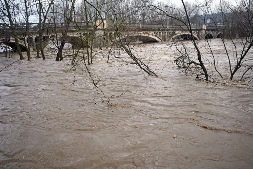 El riu Ter, al seu pas pel barri de Pont Major de Girona