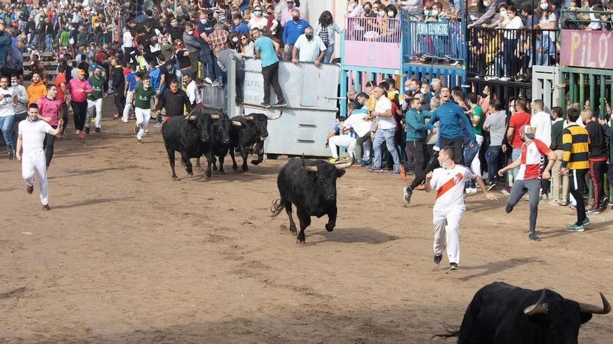Los toros de Lagunajanda protagonizan un peligroso, partido y lento segundo encierro de cerriles de la Fira d&#039;Onda