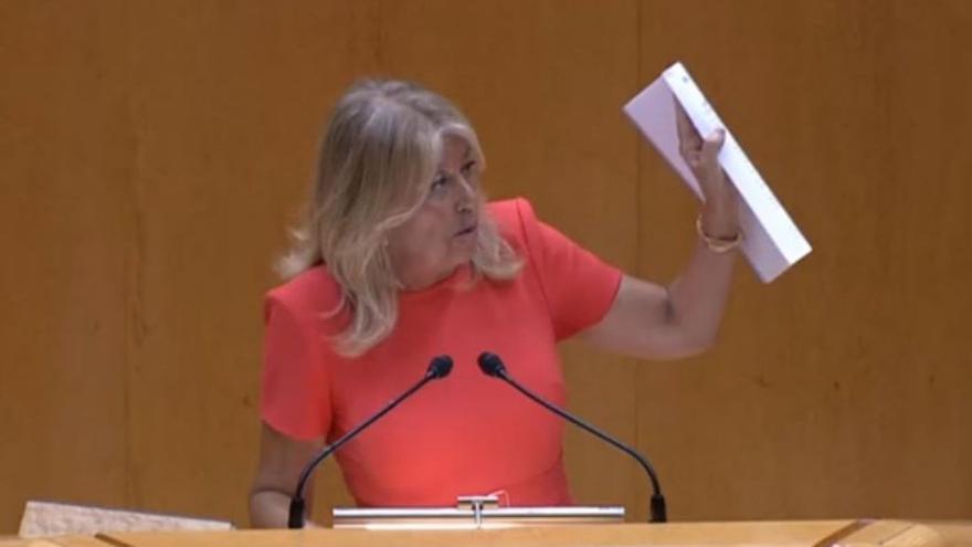 El futuro delito de enriquecimiento ilícito afectaría a la alcaldesa de Marbella