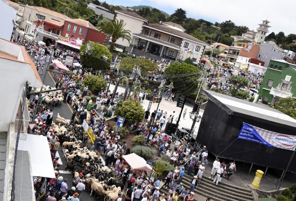 Romería en La Esperanza (El Rosario) 2019