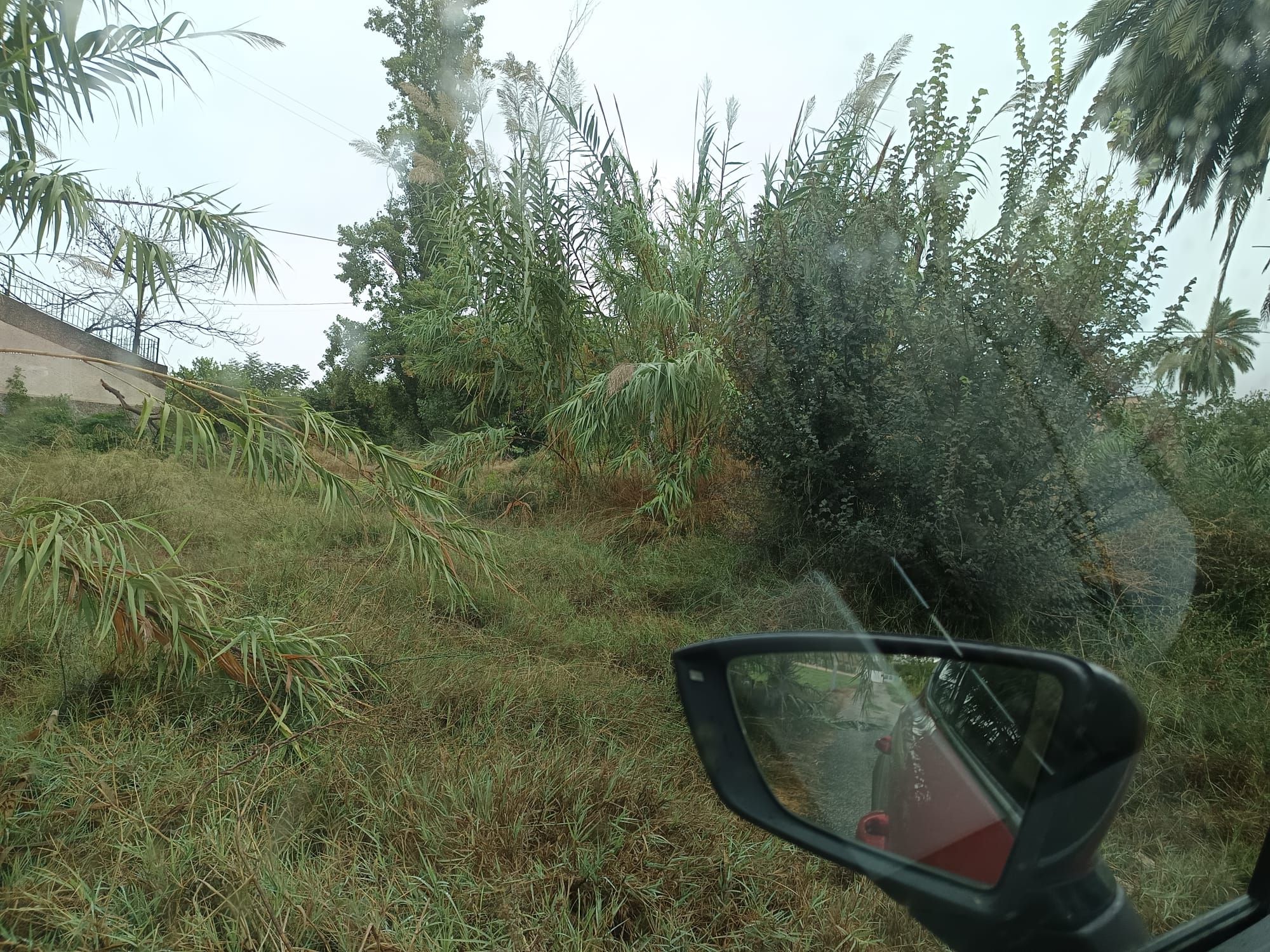 WhatsApp Image 2025-09-30 at 21.34.32 (3).jpeg