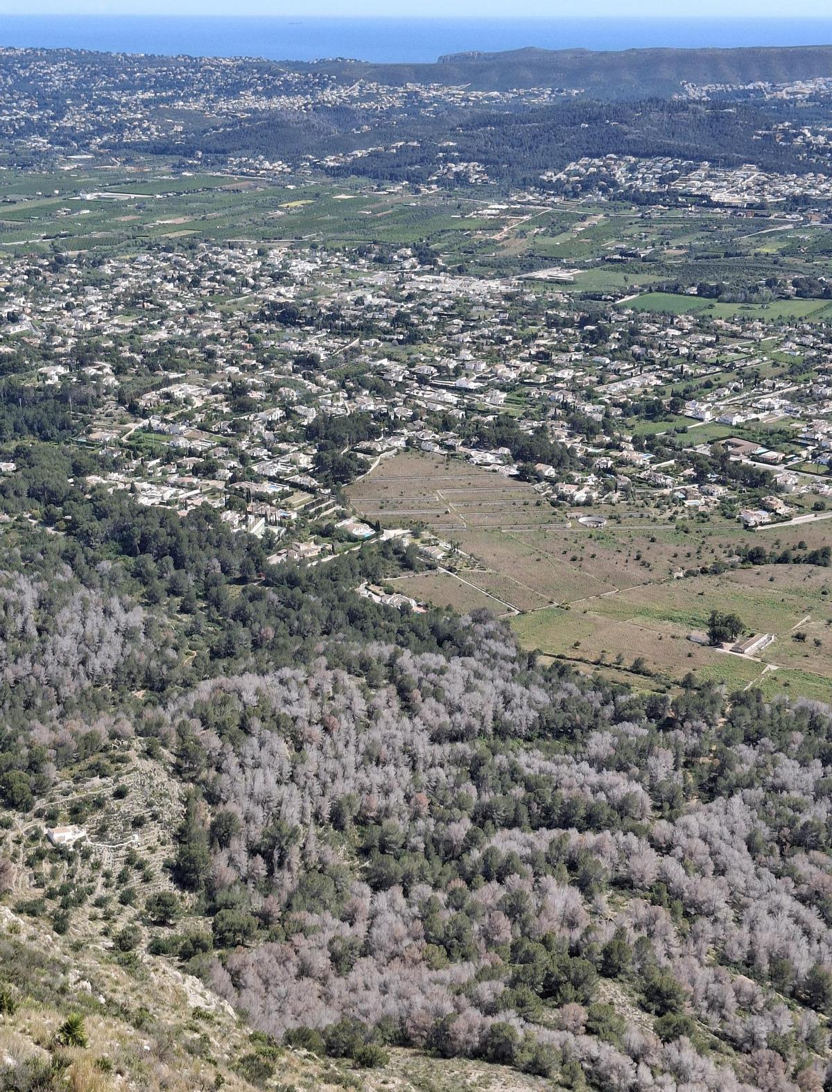 Otra imagen en la que se observa, en primer término, la dañada masa forestal
