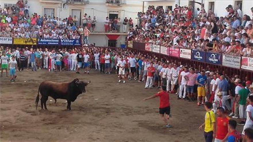 Los Sanjuanes de Coria tendrán más control en los gastos