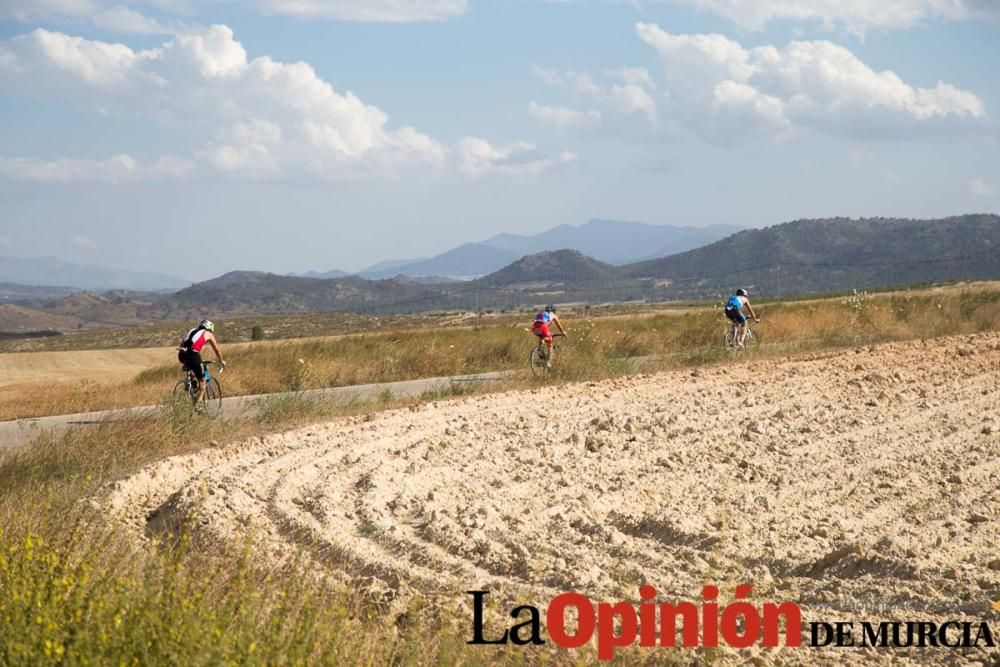 Triatlón Ciudad de Cehegín (categoría absoluta)