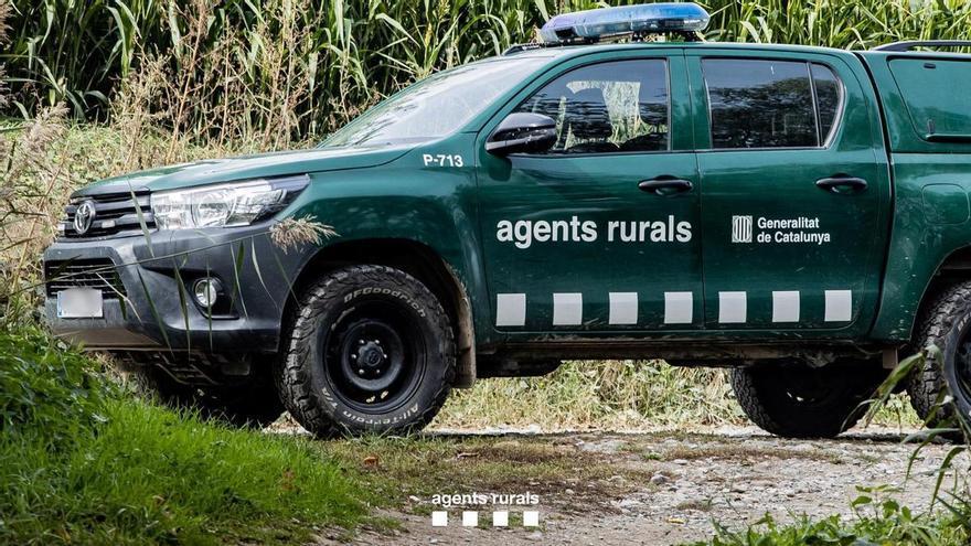 Activat el Pla Alfa per risc extrem d'incendi forestal en 21 municipis i restringit l'accés a tres espais naturals