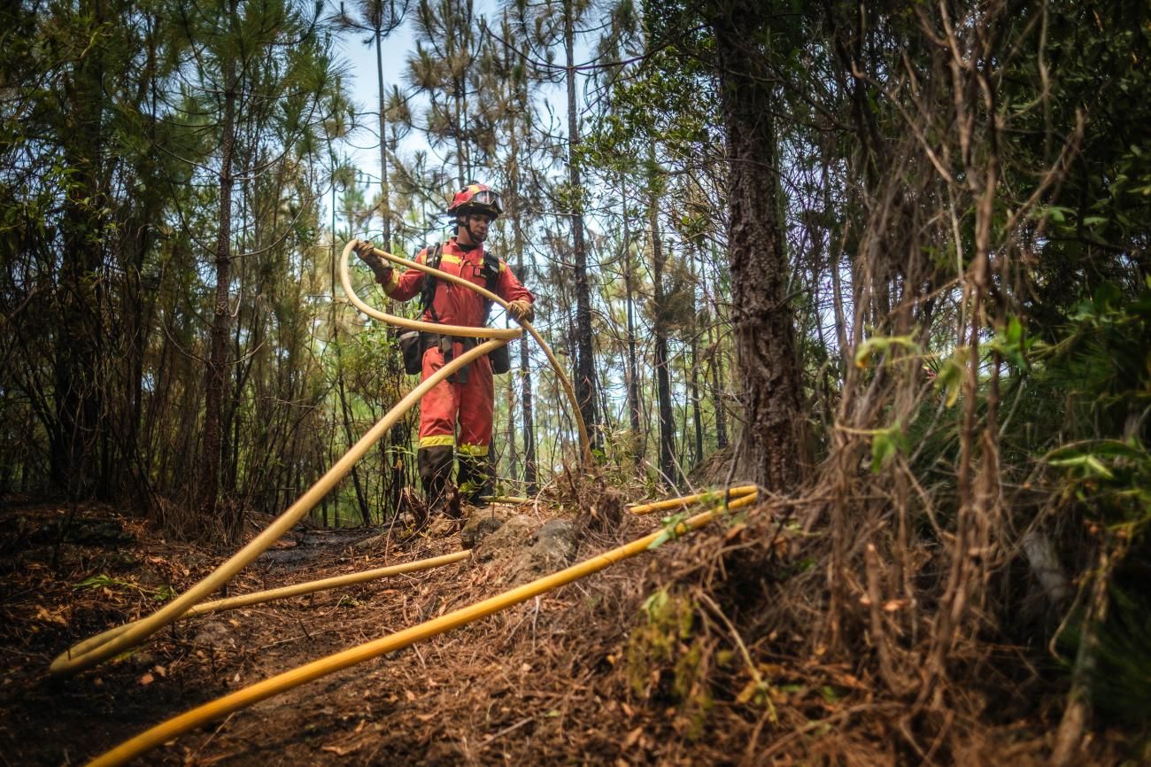 Actuación de la UME en el segundo día del incendio del Norte de Tenerife