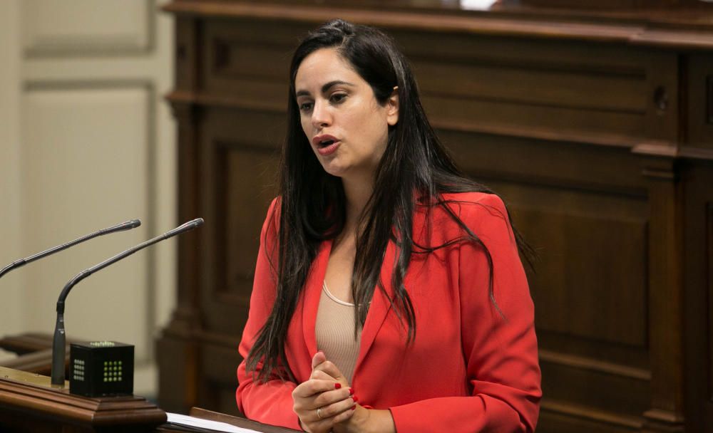 Pleno en el Parlamento de Canarias