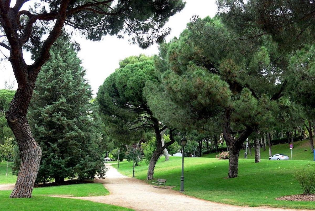 Parque del Oeste, lugar real