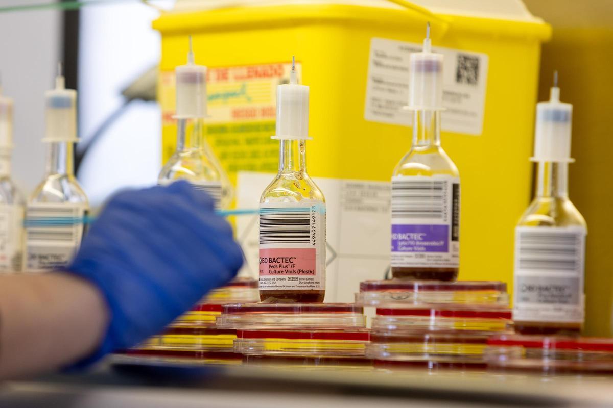 Investigación en virus y bacterias Investigación en virus y bacterias