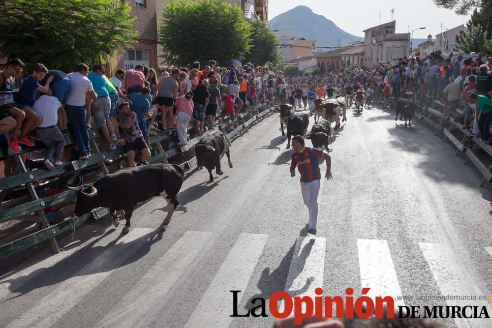 Segundo encierro de Calasparra