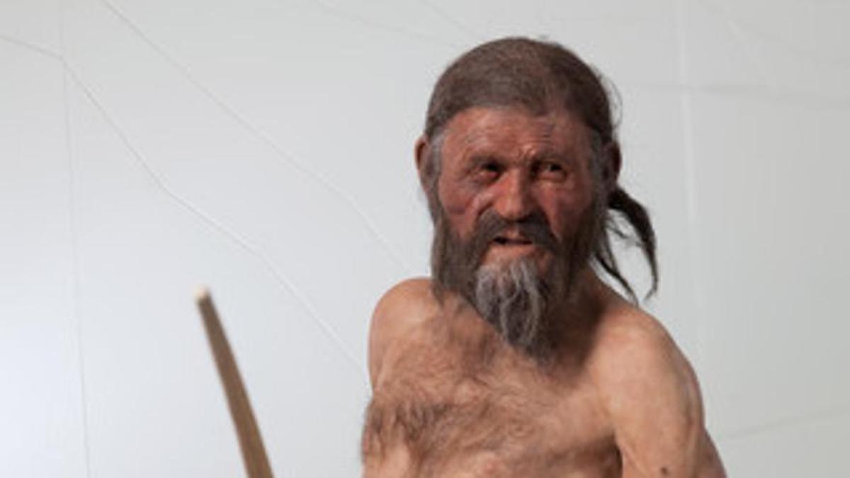 Reconstrucció clàssica d'Ötzi, l'home de gel