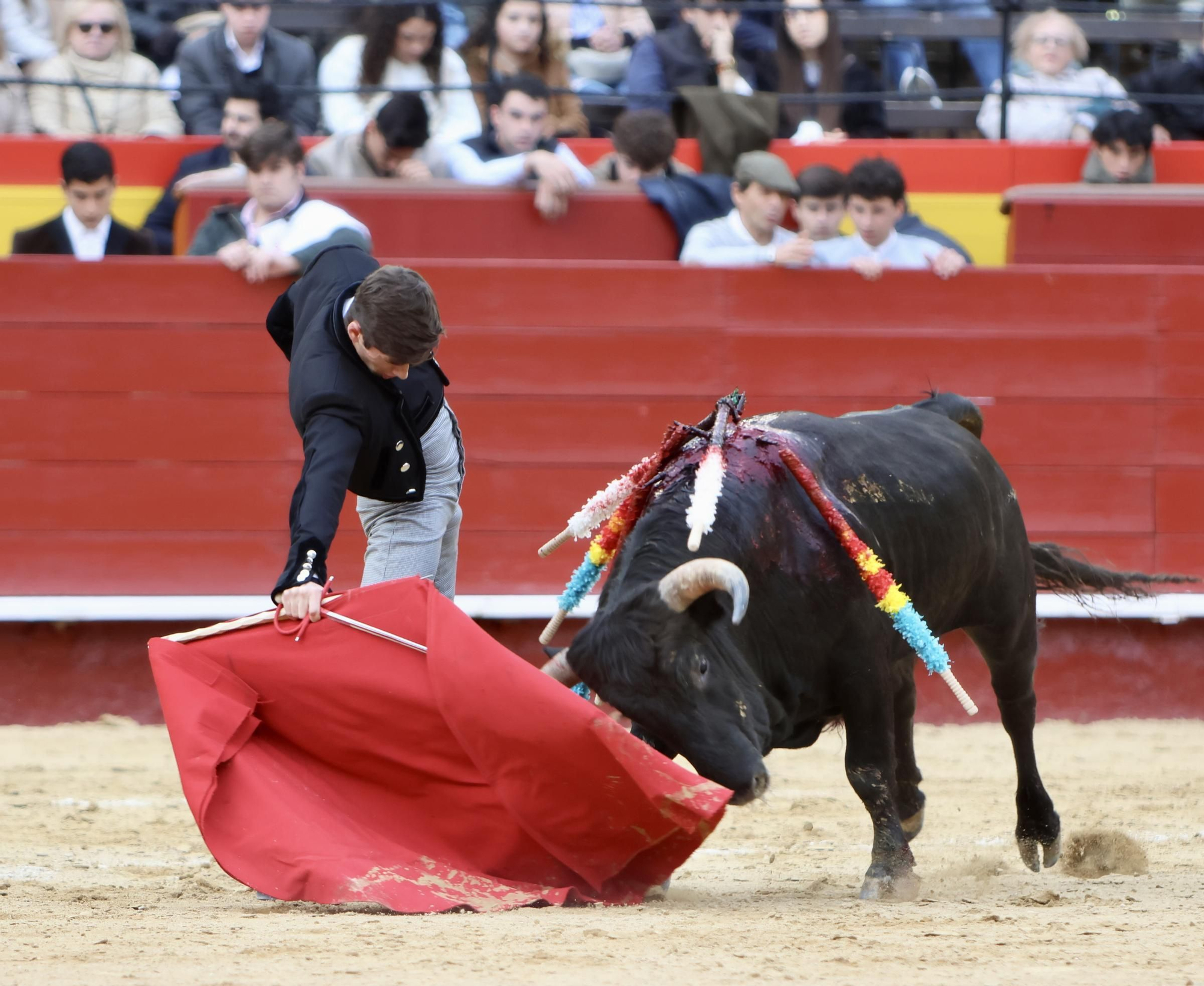 Javier Cuartero brilla en València y marca la diferencia en el cierre del ciclo de novilleros de la Feria de Fallas