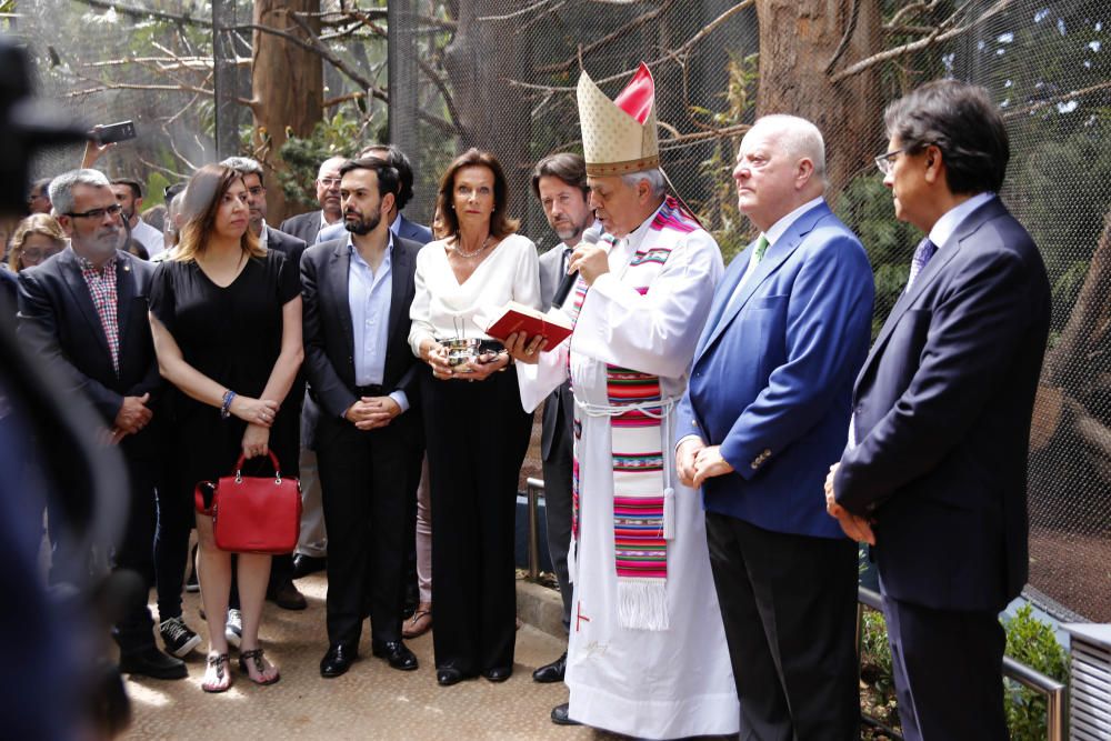 Delia Padrón Inauguración del Lion's Kingdom, la exhibición de los leones africanos, en Loro Parque