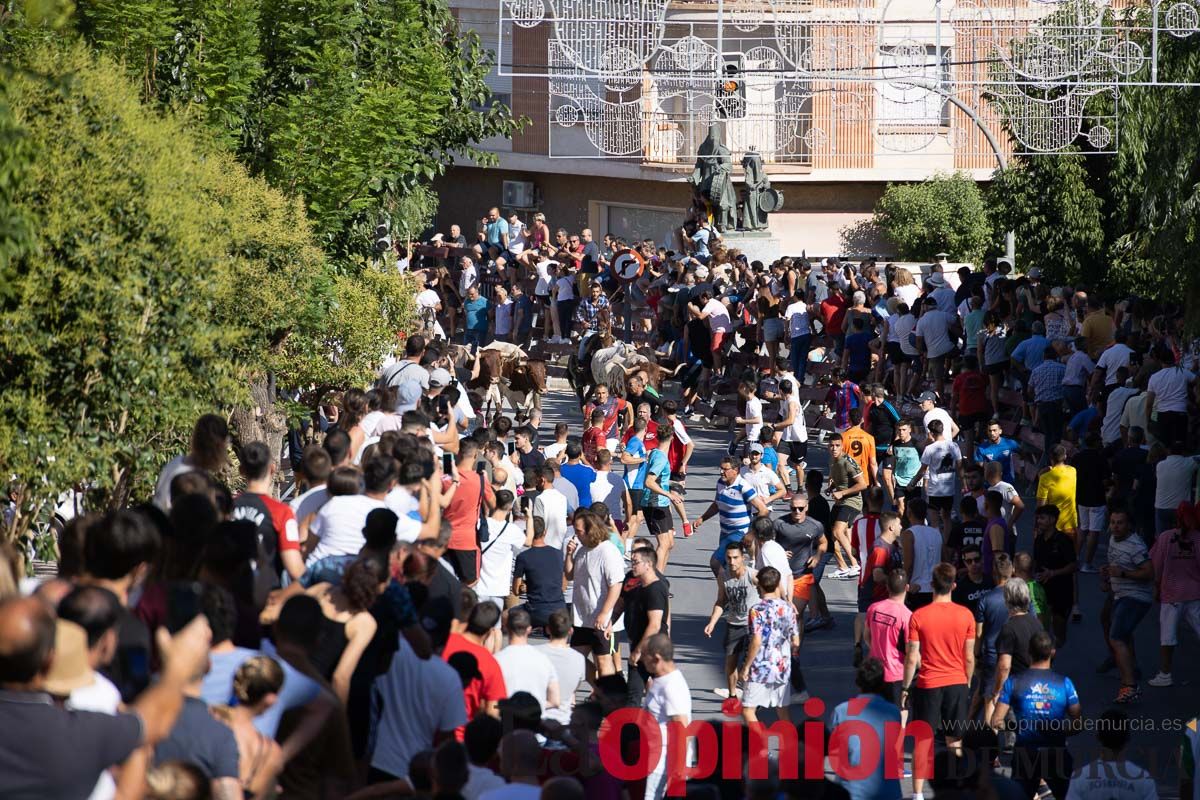 Último encierro en las Fiestas de Moratalla