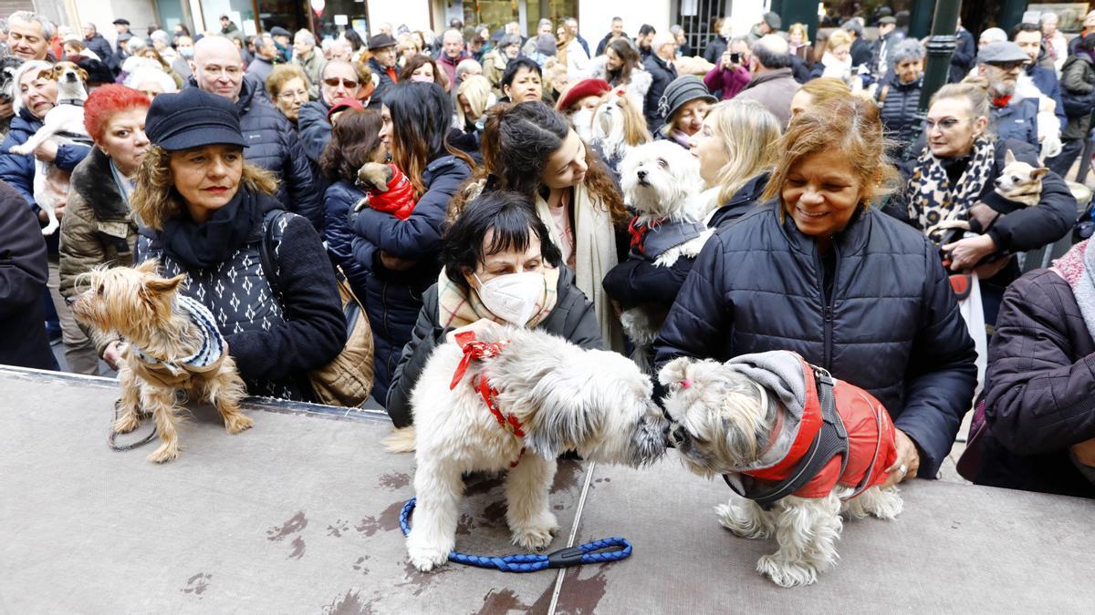 Los zaragozanos acuden a la parroquia de San Antón para la tradicional bendición de sus animales