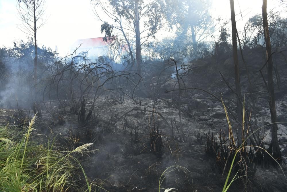 El fuego, en una zona situada entre A Zapateira y A Corveira, se inició pasadas las ocho de la mañana y quedó sofocado al filo de las 10.00 horas.