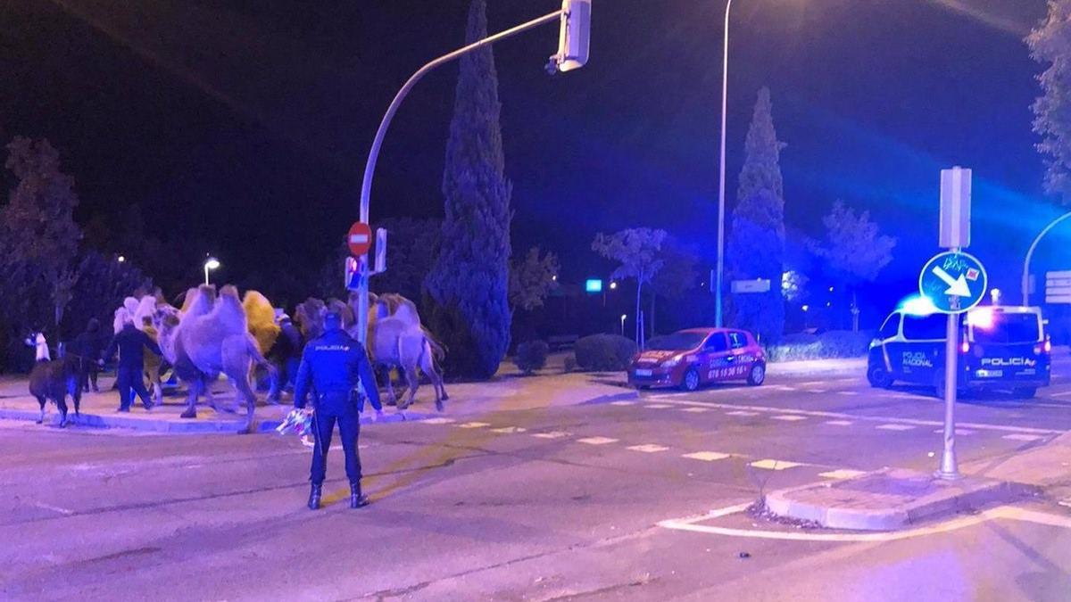 Agentes de la Policía al localizar a los animales.