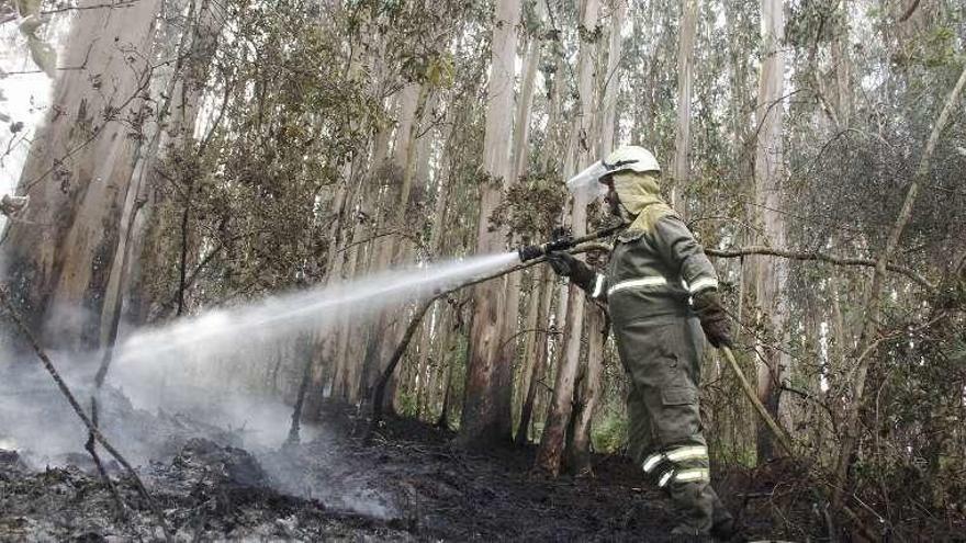 La zona de San Cosme donde ardió el miércoles por la noche el monte // Gonzalo Núñez y Santos Álvarez