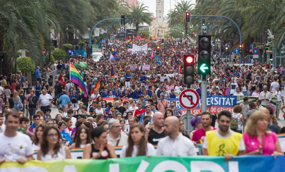 Alicante ondea la bandera del Orgullo LGTBI