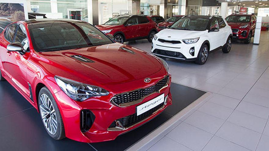 Descuento del 21% en el mantenimiento de tu coche en Kia Valgauto Motor en Alicante