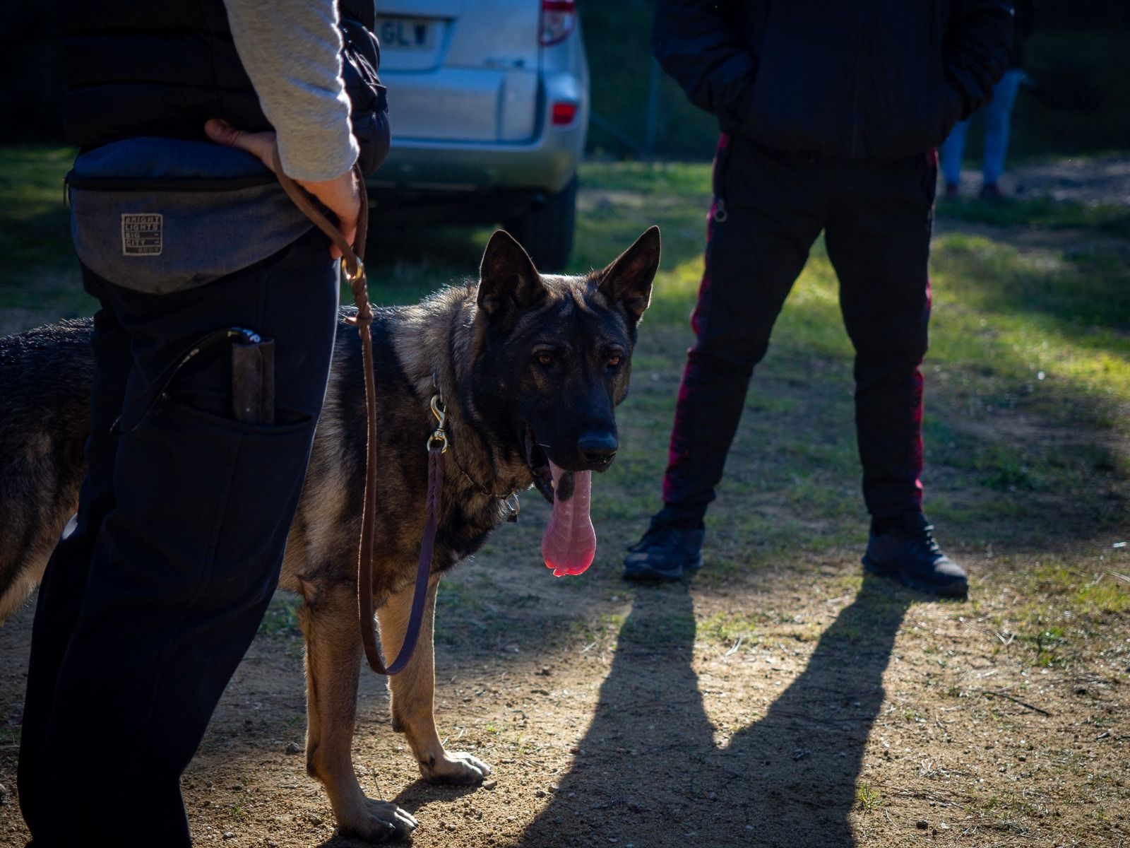 Unitats Canines de Policies Locals es troben a Lloret