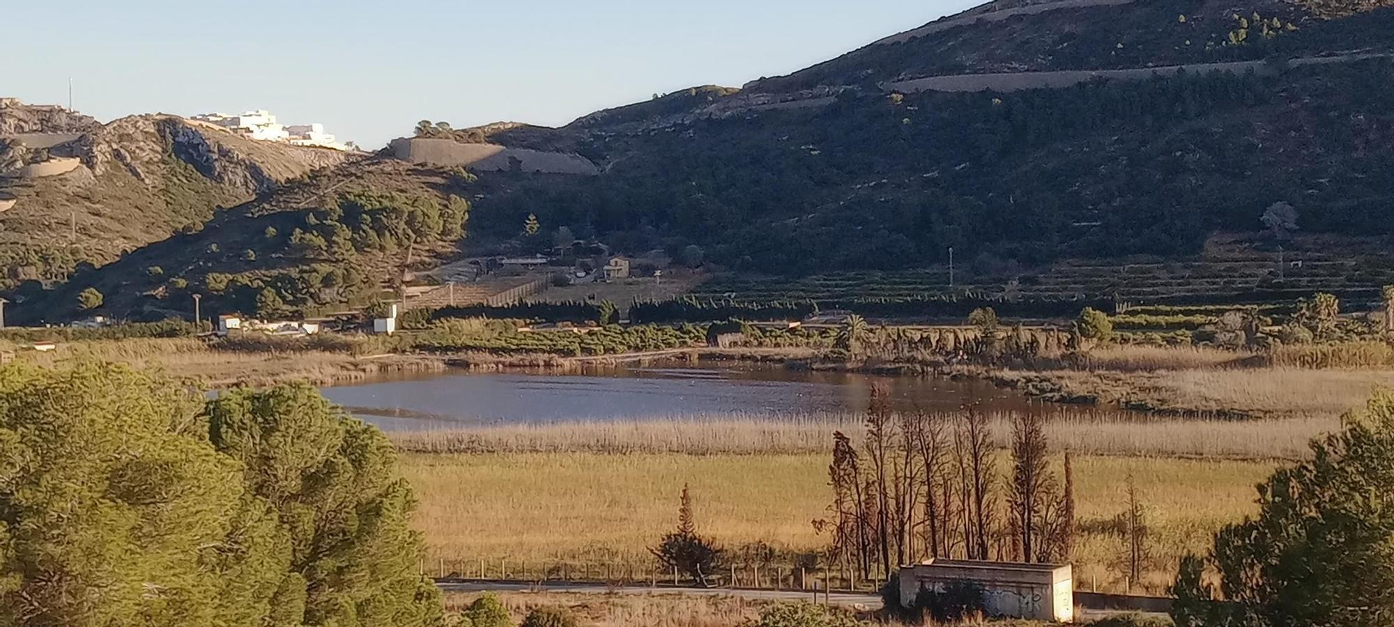 Evolución de la Bassa de Sant Llorenç de Cullera en los últimos años