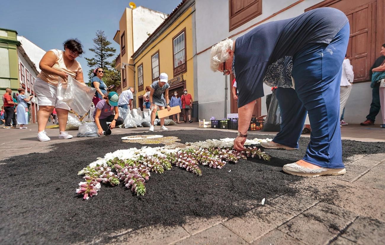 Alfombras del Corpus de La Laguna