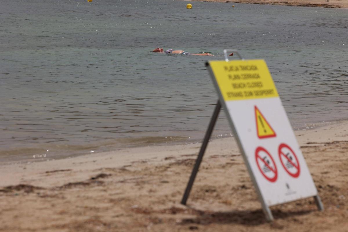 Galería: cerrada al baño la Platja d'en Xinxó por vertidos fecales