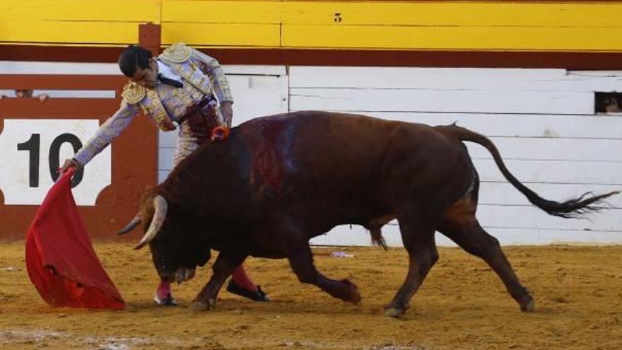 San Román demostró su clasicismo ayer en el ruedo de la Ribera.