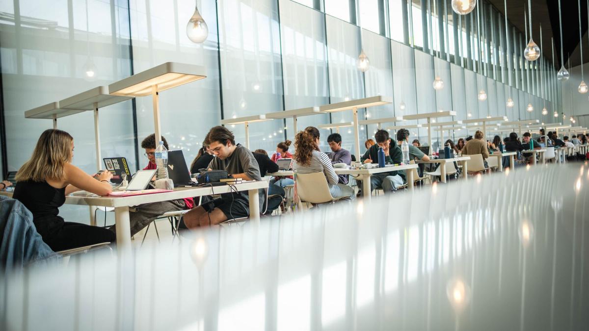 Alumnos preparando la PAU en la biblioteca del TEA.