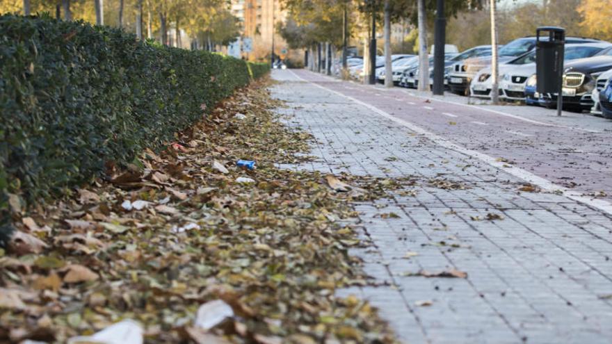 El otoño ya está aquí