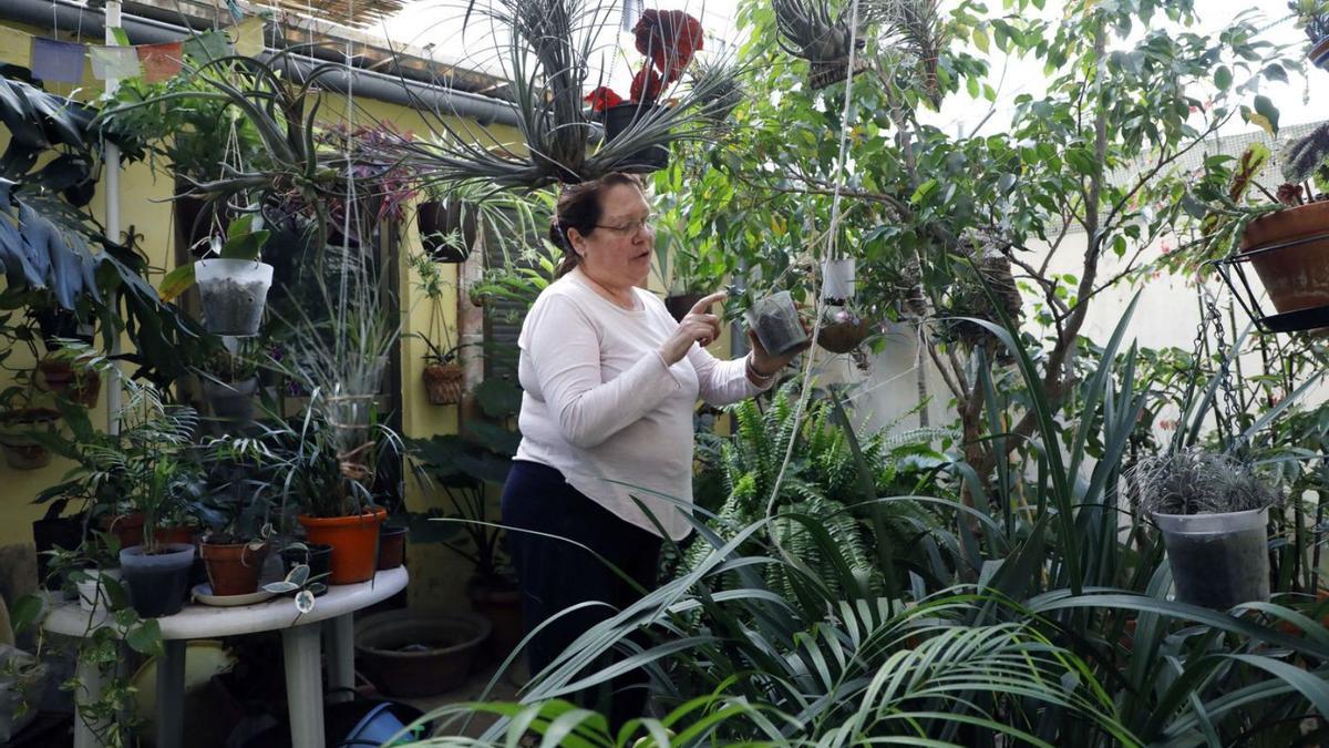 Inmaculada Sánchez, en el jardín de su casa, comprada en subasta por un fondo extranjero | M.A.MONTESINOS