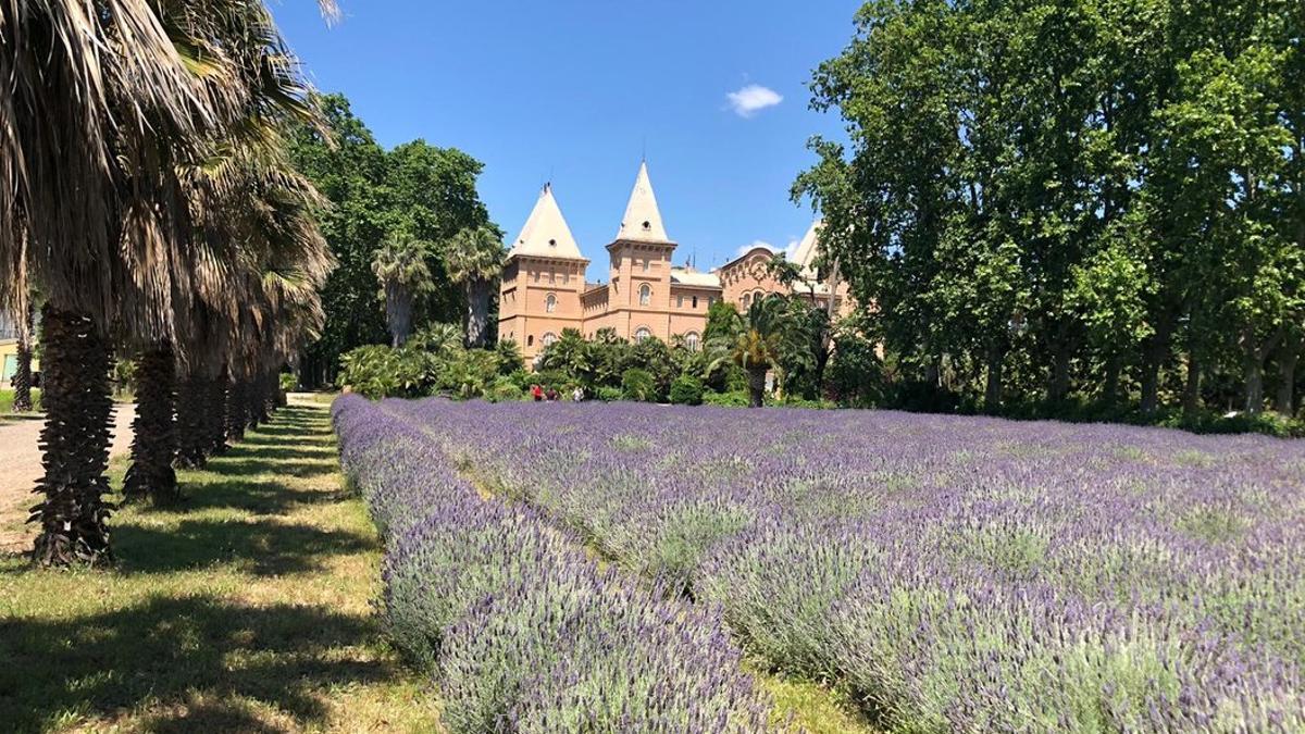 Parc Samà, en Cambrils