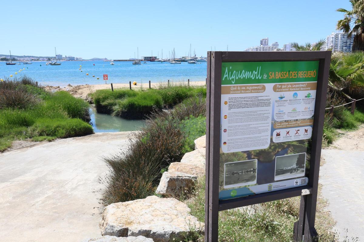 Galería: cerrada una playa de Ibiza tras detectarse un vertido de aguas residuales provocado por la rotura de una tubería