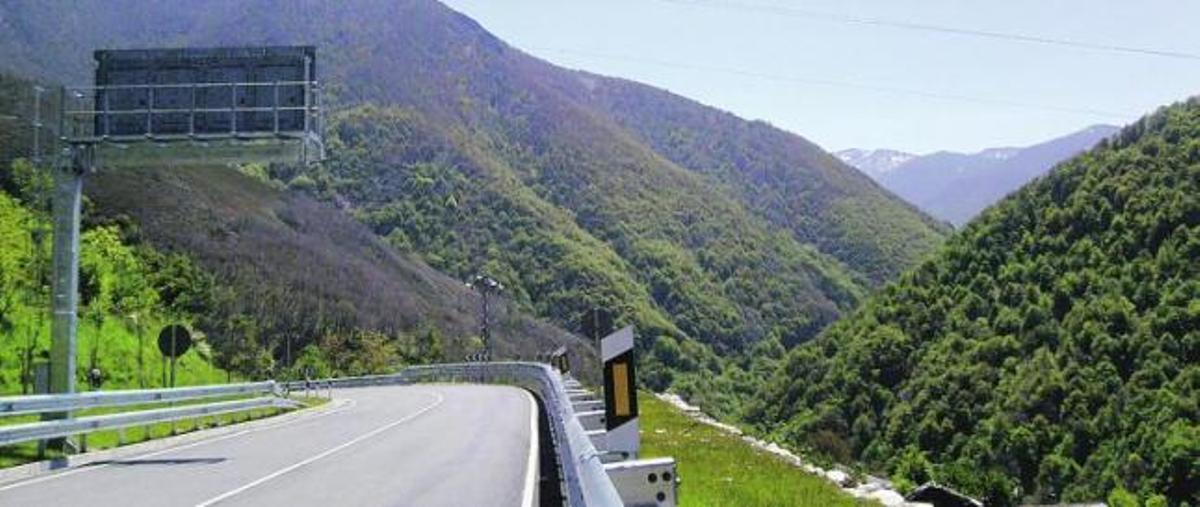 El Principado autoriza una tala en una zona osera para no pagar una indemnización